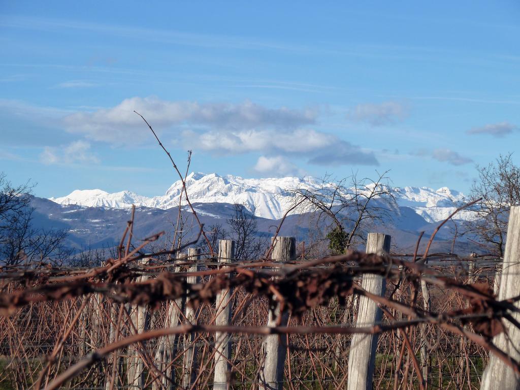 Tenuta Perusini Corno di Rosazzo Eksteriør bilde